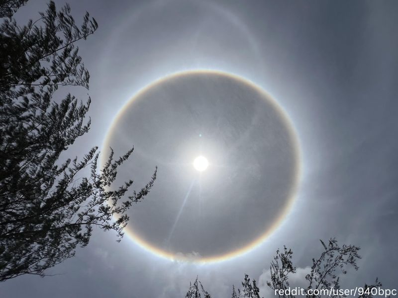 Barbados Sun Halo 🇧🇧