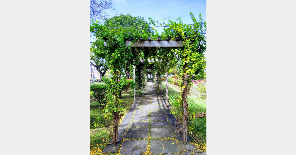 My Most Iconic Photo